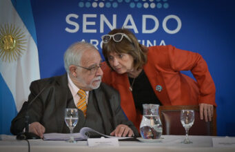 Sesión en Senado: el gobierno bajó de 30 a 25% venta de tierras