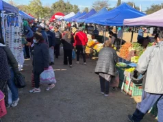 Mercado en tu Barrio este jueves en Santa Ana II