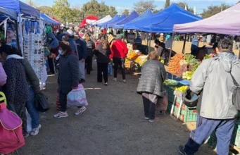 Mercado en tu Barrio este jueves en Santa Ana II