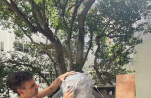 Un artista salteño conquista uno de los escenarios de diseño más importantes del país