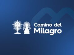 Vialidad Nacional pidió extremar cuidados con los peregrinos en las rutas
