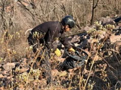 El municipio desplegó un operativo de limpieza en los cerros San Bernardo y 20 de Febrero. VIDEO/FOTOS