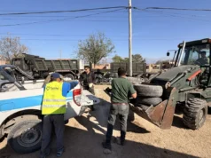 Ciudad: se harán amplios operativos de descacharrados en zona norte. FOTOS