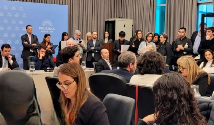 Salta expuso en el Congreso de la Nación la crítica situación de las pensiones por discapacidad