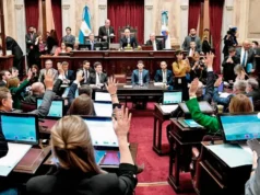 Los senadores cobrarán más de $13 millones mientras el sueldo mínimo no alcanza la canasta básica