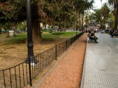 Las plazas de la ciudad volverán a tener placeros. VIDEO/FOTOS