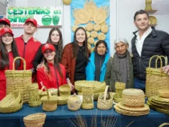 Potencia Salta 2026 continúa este domingo con más de mil emprendedores de toda la provincia. VIDEO