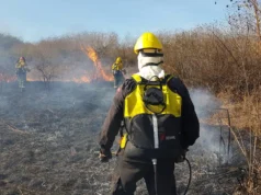 Ante las altas temperaturas, la Municipalidad refuerza la prevención por riesgo de incendios forestales. FOTOS