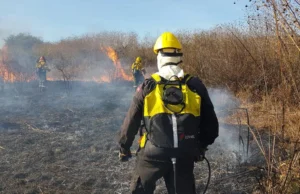 Ante las altas temperaturas, la Municipalidad refuerza la prevención por riesgo de incendios forestales. FOTOS