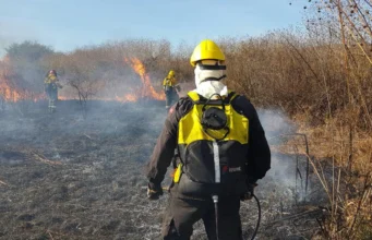 Ante las altas temperaturas, la Municipalidad refuerza la prevención por riesgo de incendios forestales. FOTOS