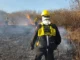 Ante las altas temperaturas, la Municipalidad refuerza la prevención por riesgo de incendios forestales. FOTOS