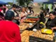 Exitoso «Mercado en tu Barrio» en Ciudad del Milagro. VIDEO/FOTOS