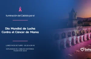 El Cabildo se ilumina por el Día Mundial de Lucha contra el Cáncer de Mama. FOTOS