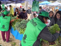 «Mercado en tu Barrio» llega este miércoles 7 a zona norte. FOTOS
