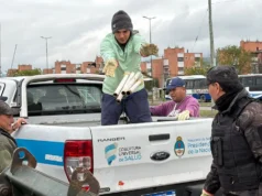 En El Huaico y Mirasoles, la Municipalidad realizó un nuevo descacharrado. FOTOS