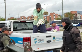 En El Huaico y Mirasoles, la Municipalidad realizó un nuevo descacharrado. FOTOS