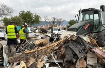 Lucha contra el Dengue: este martes 20 habrá un nuevo descacharrado en zona norte. FOTOS