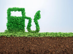 Proyecto de biocombustibles: Diputados del norte contra el resto