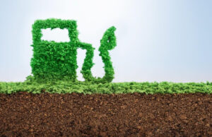 Proyecto de biocombustibles: Diputados del norte contra el resto