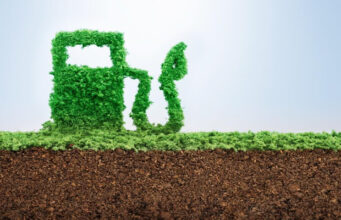Proyecto de biocombustibles: Diputados del norte contra el resto